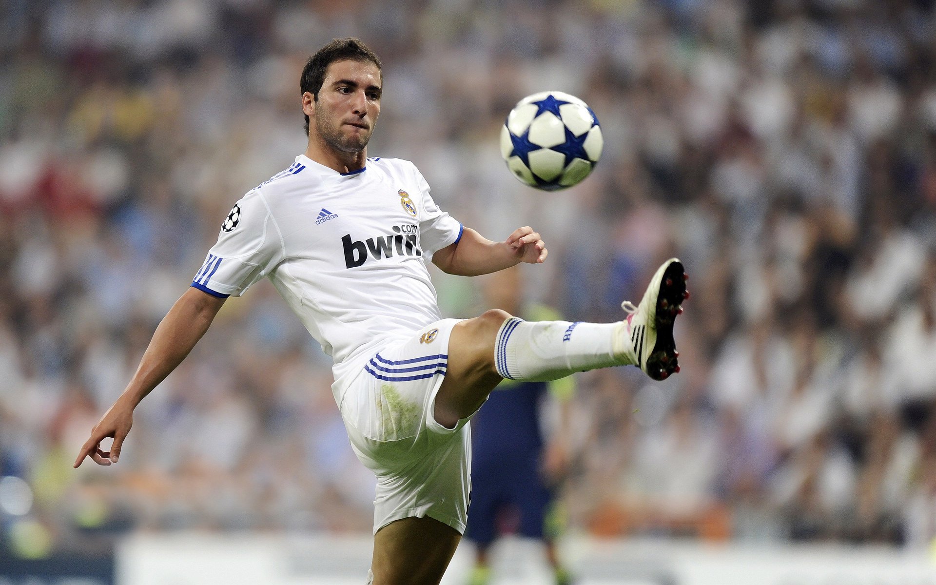 九游LOL-皮特·斯图斯的比赛阅读能力是南非防线成功的关键，斯图皮特国际标准智商测试2020  第2张