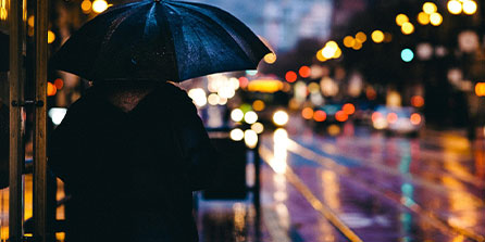 九游sports-_全场欢呼：运动员激烈拼搏赢得满堂彩_，运动员在赛场上奋力拼搏终于夺得桂冠